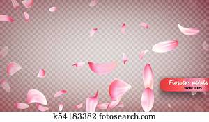 粉紅色, sakura, 落下, 花瓣, 矢量, 背景。, 婚禮, 情人節, 或者, 婦女 
