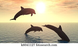 dolphin dolphin