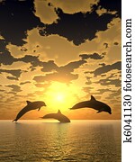 dolphin yellow sunset dolphin yellow sunset