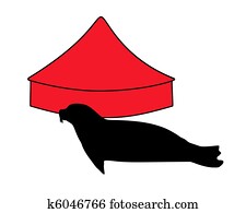 Seal in circus Seal in circus