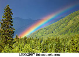 arco íris, sobre, floresta