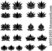 Lotus Set 1 Lotus Set 1