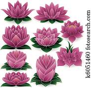 Lotus Set Colored 3 Lotus Set Colored 3