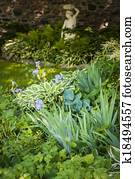 Shady garden with perennials Shady garden with perennials