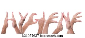 mãos, forma, a, palavra, higiene