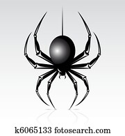 Spider Spider