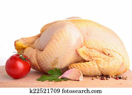chicken chicken