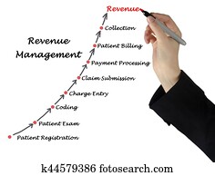 Diagram of Revenue  Management