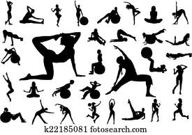Fitness Fitness