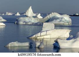 icebergs in quiet bay, Fogo Island
