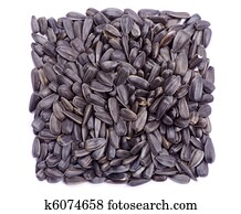 Sunflower Seeds Illustrations | Our Top 1000+ Sunflower Seeds Stock Art