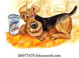 senior dog with teeth denture