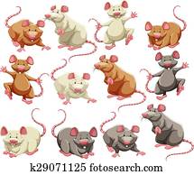 maus maus