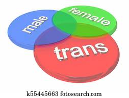 Trans Male Female Circles Overlapping Gender Identity 3d Illustration