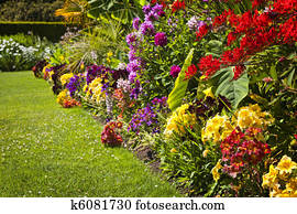 צבעוני, גן, פרחים