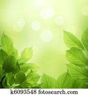 fresh and green leaves