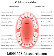 ילדים, של השיניים, שרטט