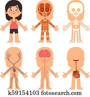 Design student sleeps sitting on synopsis Clipart | k7124905 | Fotosearch