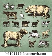 farm animals vintage set (vector) farm animals vintage set (vector)