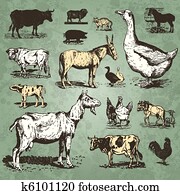 farm animals vintage set (vector) farm animals vintage set (vector)