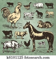 farm animals vintage set (vector) farm animals vintage set (vector)