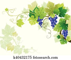 Grapes Grapes