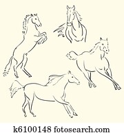horses horses