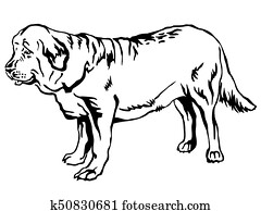 Download Neapolitan mastiff dog cartoon for coloring Clipart | k12260922 | Fotosearch