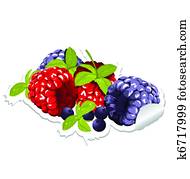 label with berries label with berries