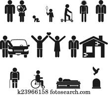 Life stage. Birth and adolescence, youth , adulthood, old age, death Life stage. Birth and adolescence, youth , adulthood, old age, death