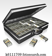 suitcase money