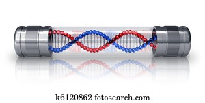 DNA molecule in hermetic capsule DNA molecule in hermetic capsule