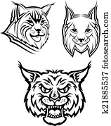 wildes, bobcat, oder, luchs, maskottchen wildes, bobcat, oder, luchs, maskottchen
