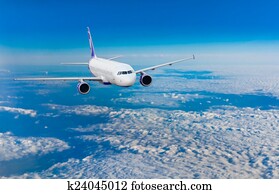 Airplane in Flight Airplane in Flight