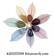 Chakra crystals on leaves
