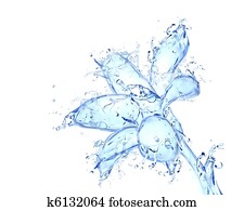 flor, flor, líquido, artwork, -, broto flor, forma, feito, de, água, com, queda, gotas