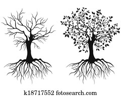 trees with roots trees with roots