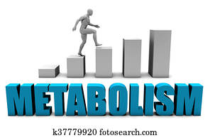 Metabolism Metabolism