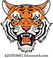 Tiger Tiger