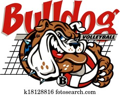 buldogue, voleibol, com, rede