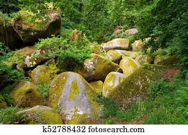 Huelgoat, floresta, le, menage, de, la, Vierge, em, brittany, frança