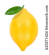lemon lemon