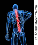 male backache male backache