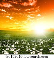 nature landscape and the sunset