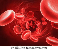 Red Blood Cells
