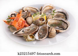 seafood seafood