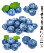 Blueberries