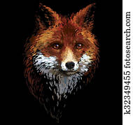 Colored fox illustration on white background Colored fox illustration on white background