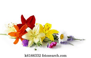 Flowers Flowers
