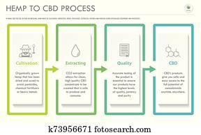 Hemp to CBD Process horizontal business infographic Hemp to CBD Process horizontal business infographic
